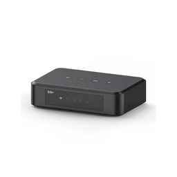 [Arylic-S10+-Black] Arylic S10+