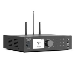 [Arylic-A100-Black] Arylic A100